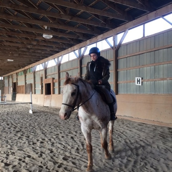 Meet your Posher, Victoria - Picture 1 of 1